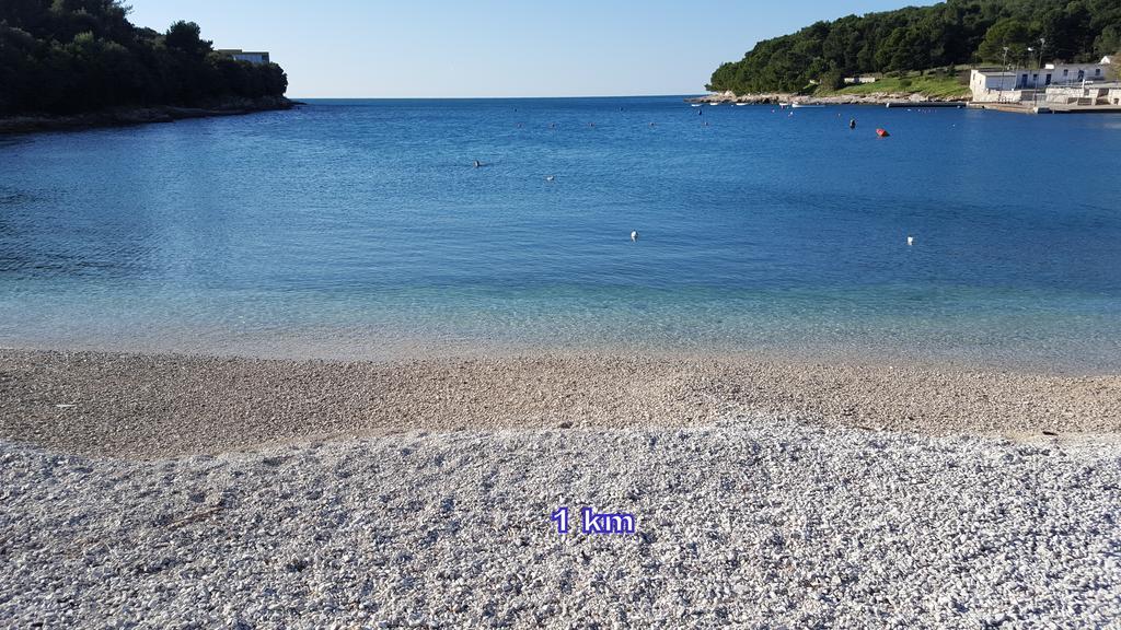 Vito * Pula